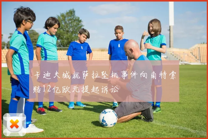 卡迪夫城就萨拉坠机事件向南特索赔12亿欧元提起诉讼