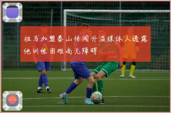 祖马加盟泰山传闻升温媒体人透露他训练困难尚无障碍