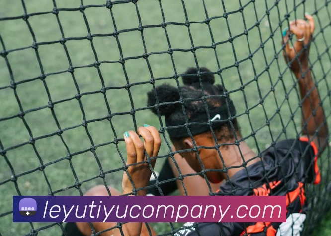 乐鱼体育APP 高清赛事图